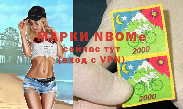 индика Белокуриха