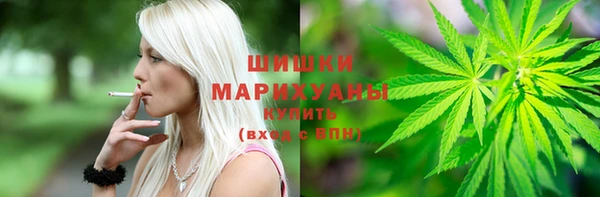 амф Богородск