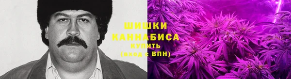 индика Белокуриха