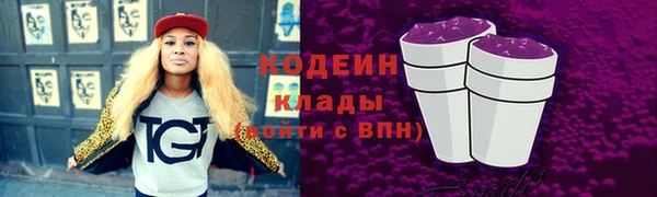 индика Белокуриха