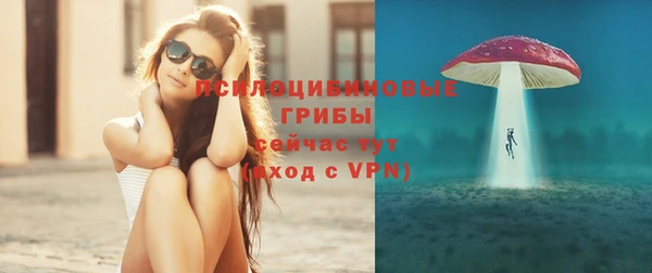 индика Белокуриха