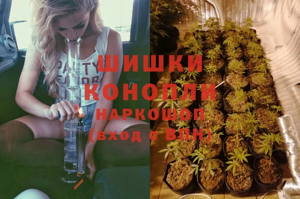 таблы Богданович