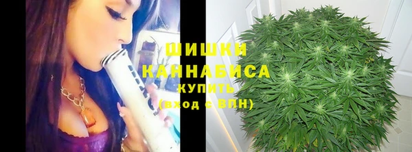 таблы Богданович