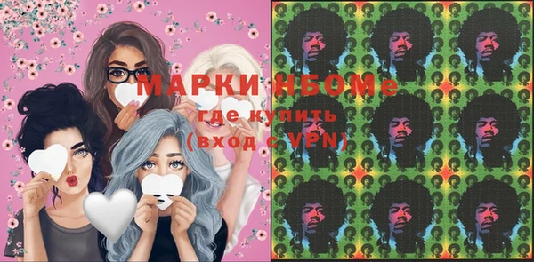 индика Белокуриха